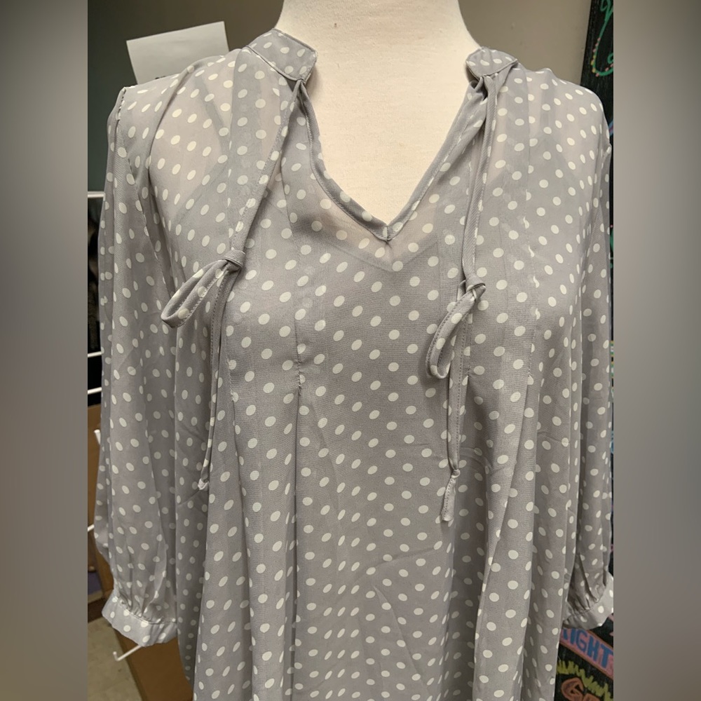Daniel Rainn sheer tunic top